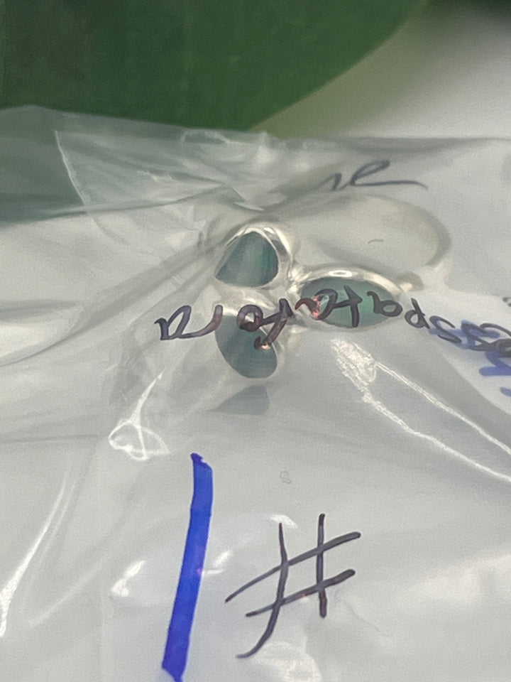 PM SHOW 48HR - RESERVED FOR: francesspatafora  - 7/25/2025 FL tiktok Live Show - 1 Sterling Silver Items