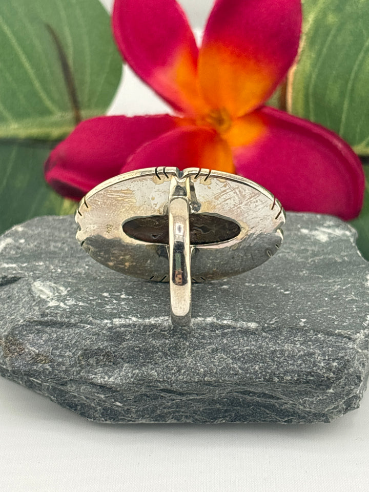 Opalized Wood Ring Size 9