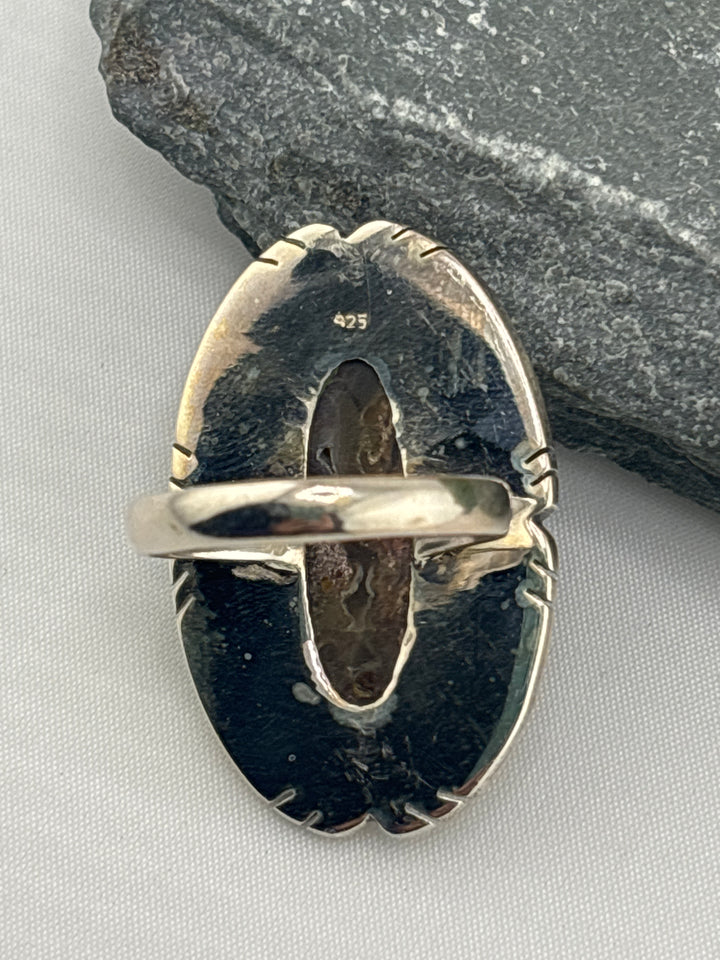 Opalized Wood Ring Size 9