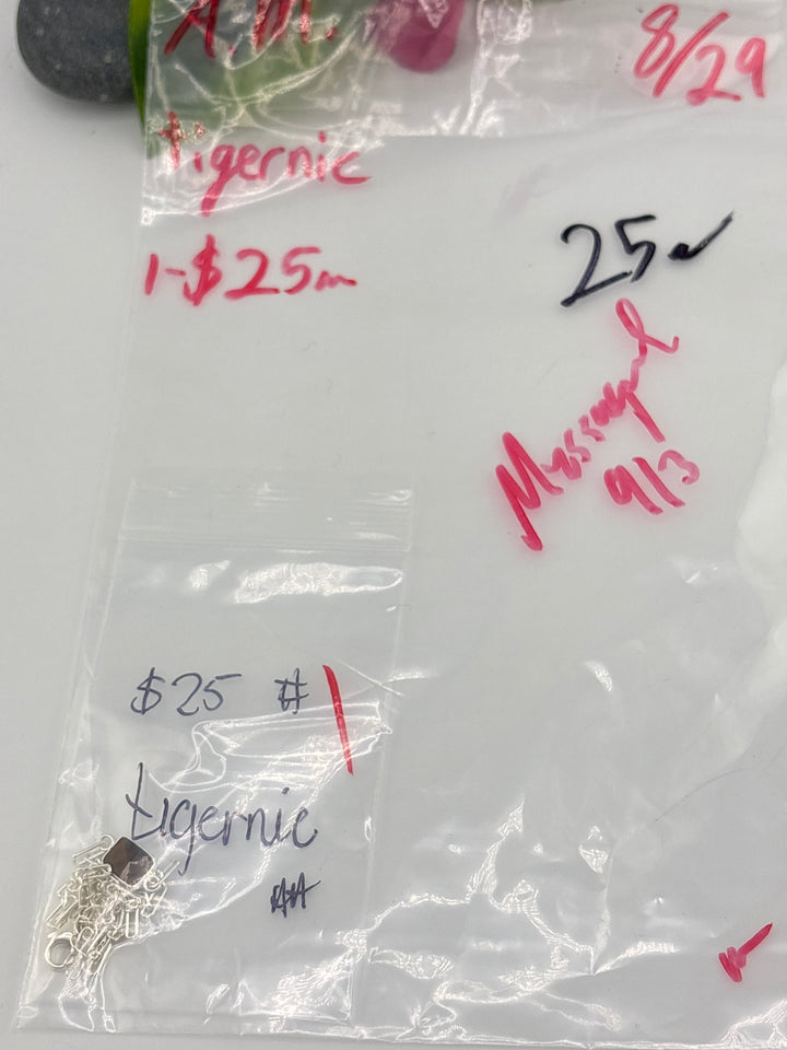 AM SHOW 48HR - RESERVED FOR: tigernic - 8/29/2025 FL tiktok Live Show - 1 Sterling Silver Items