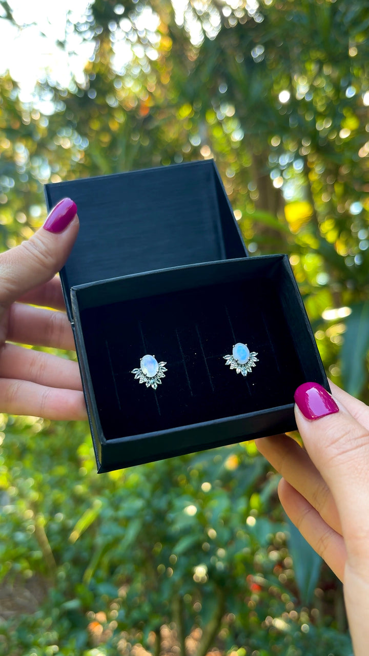 Jewelry Vault Reveal Earrings (Tier One)