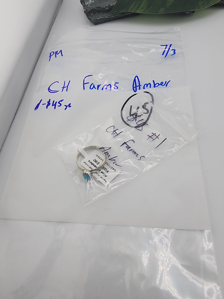 CH Farms Amber - 7/3/26 PM - 1 925 Sterling Silver