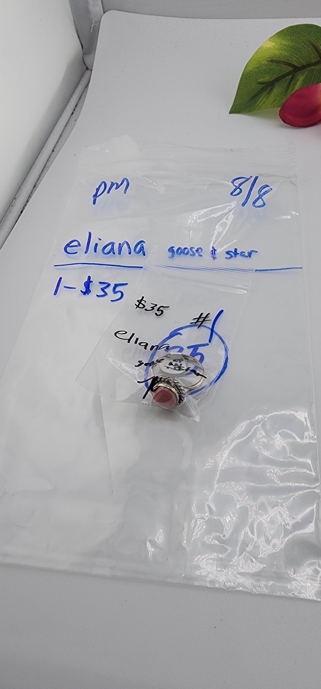 PM SHOW 48HR - RESERVED FOR: eliana 🪿💫 - 8/8/2025 FL tiktok Live Show - 1 Sterling Silver Items