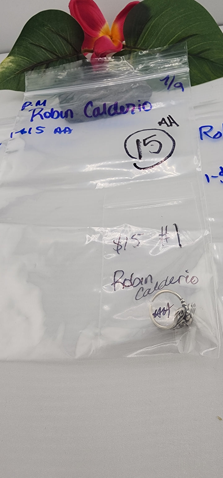 PM SHOW 48HR - RESERVED FOR: Robin Calderio - 7/9/2025 FL tiktok Live Show - 1 Sterling Silver Items