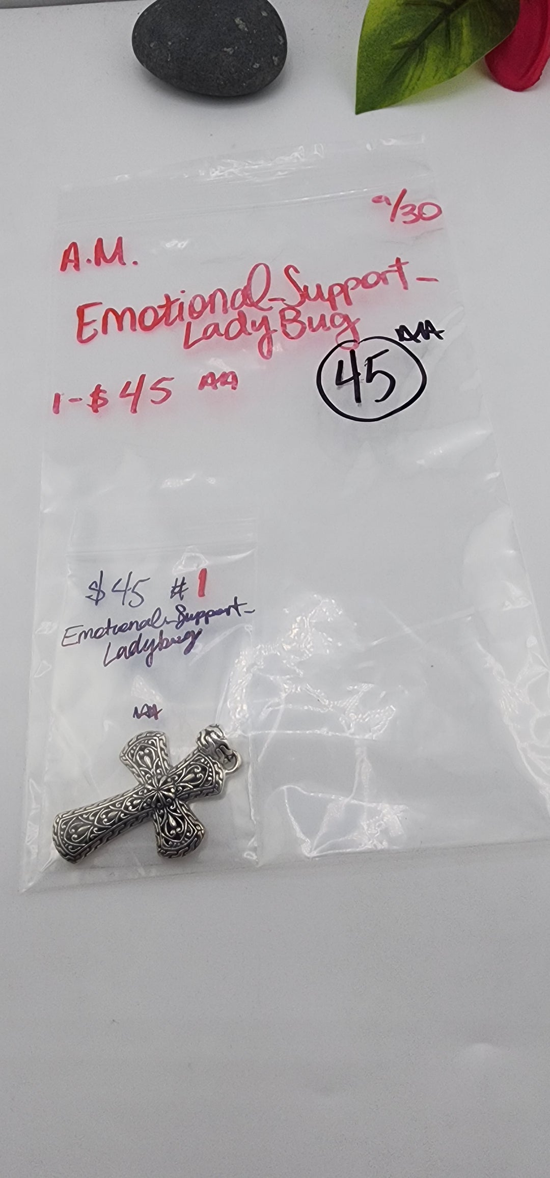 AM SHOW 48HR RESERVED FOR: Emotional_Support_Ladybug- 9/30/2025 FL tiktok Live Show -  1 Sterling Silver Items