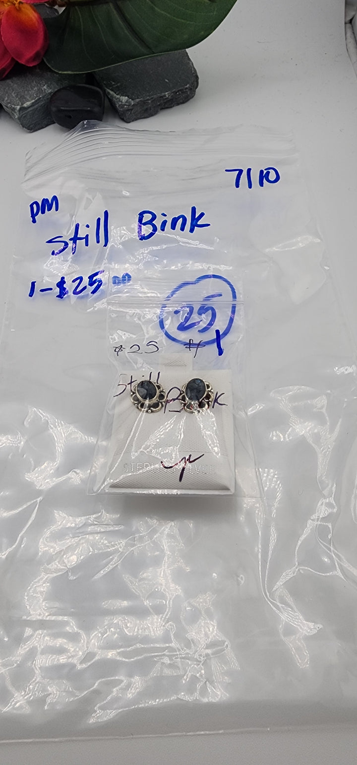 PM SHOW 48HR - RESERVED FOR: Still Bink  - 7/10/2025 FL tiktok Live Show - 1 Sterling Silver Items