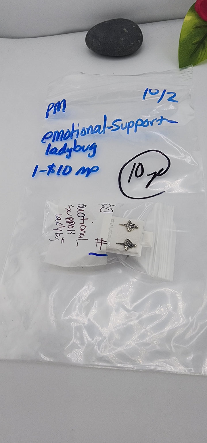 PM SHOW 48HR - RESERVED FOR: emotional_support_ladybug - 10/2/2025 FL tiktok Live Show - 1 Sterling Silver Items
