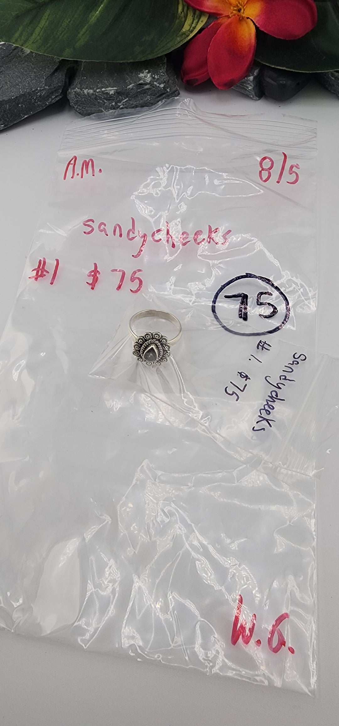 AM SHOW 48HR - RESERVED FOR: sandycheeks - 8/5/2025 FL tiktok Live Show - 1 Sterling Silver Items