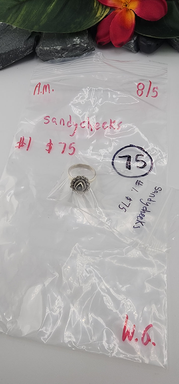 AM SHOW 48HR - RESERVED FOR: sandycheeks - 8/5/2025 FL tiktok Live Show - 1 Sterling Silver Items