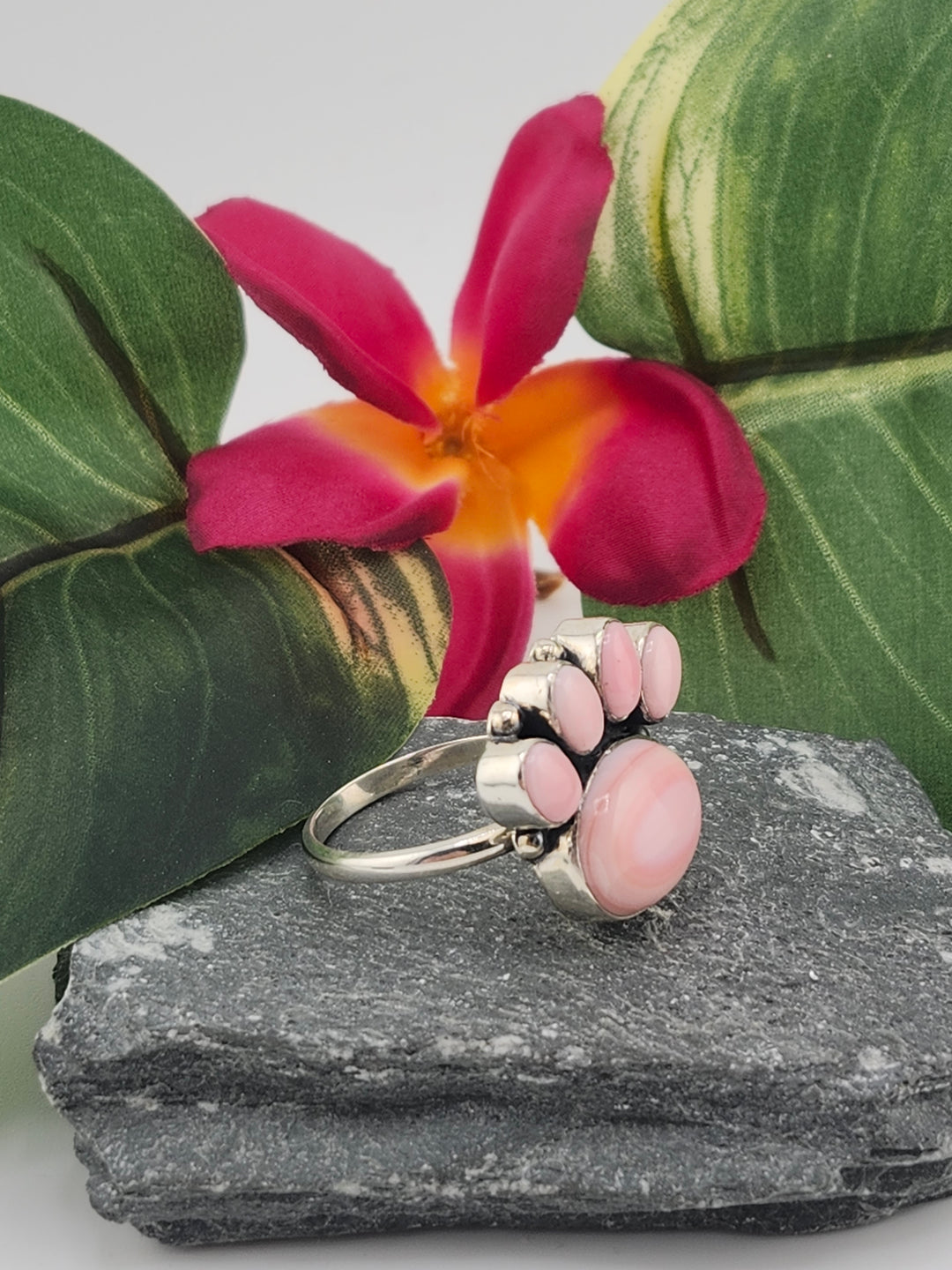 Queen Conch Paw Ring Size 10