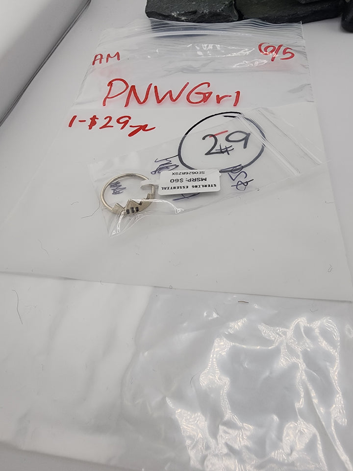 PNWGrl - 6/5/26 AM - 1 925 Sterling Silver