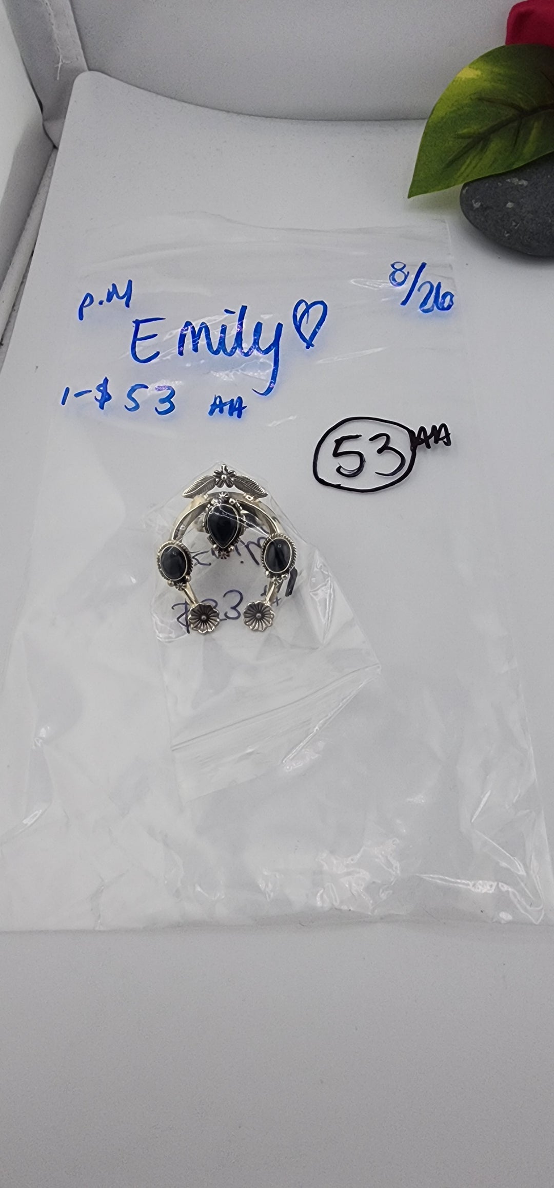 PM SHOW 48HR - RESERVED FOR:  - Emily💚 8/26/2025 FL tiktok Live Show - 1 Sterling Silver Items