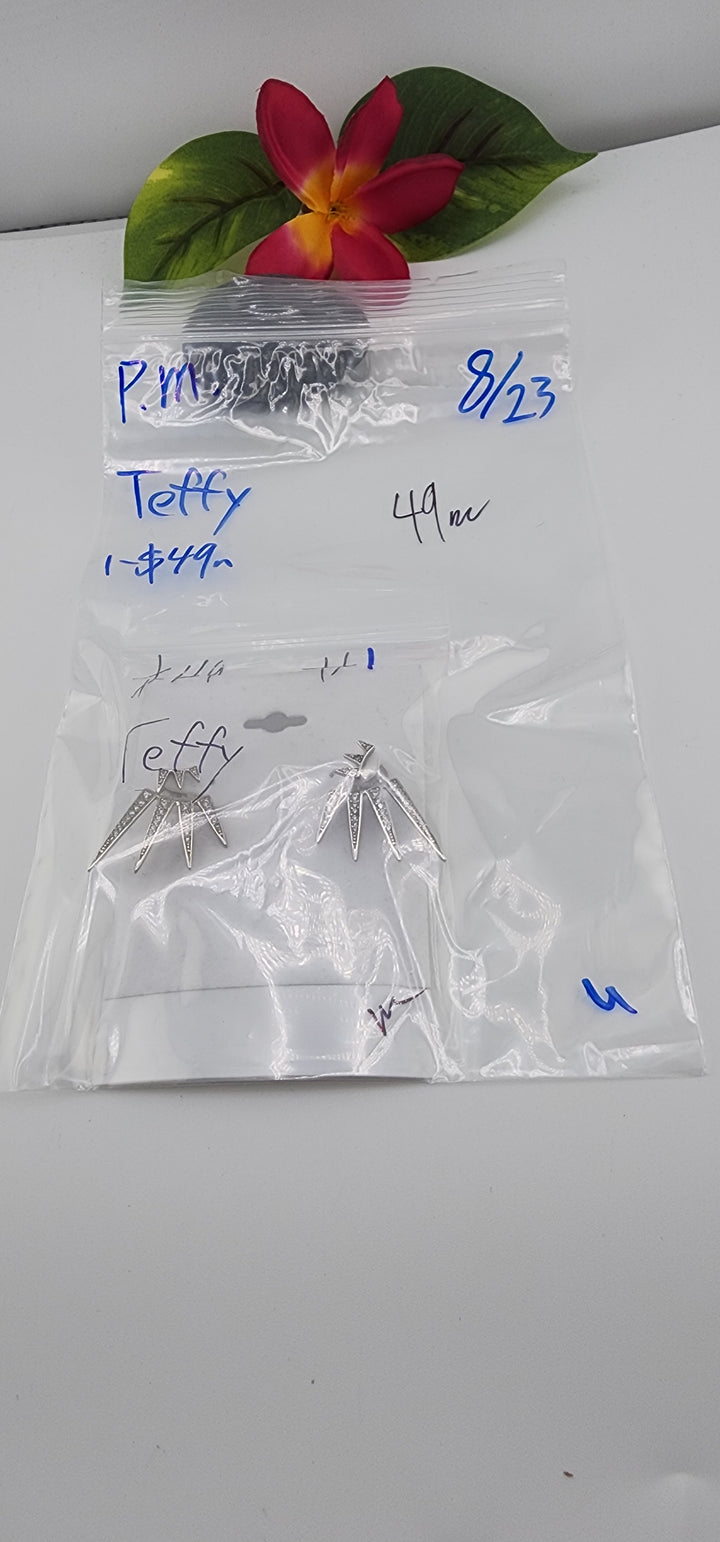 PM SHOW 48HR - RESERVED FOR: Teffy - 8/23/2025 FL tiktok Live Show - 1 Sterling Silver Items