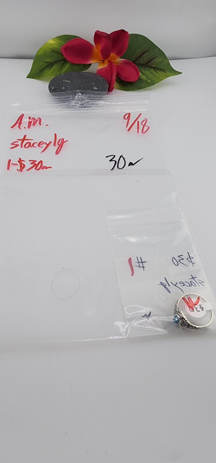 AM SHOW 48HR - RESERVED FOR: staceylg - 9/18/2025 FL tiktok Live Show - 1 Sterling Silver Items