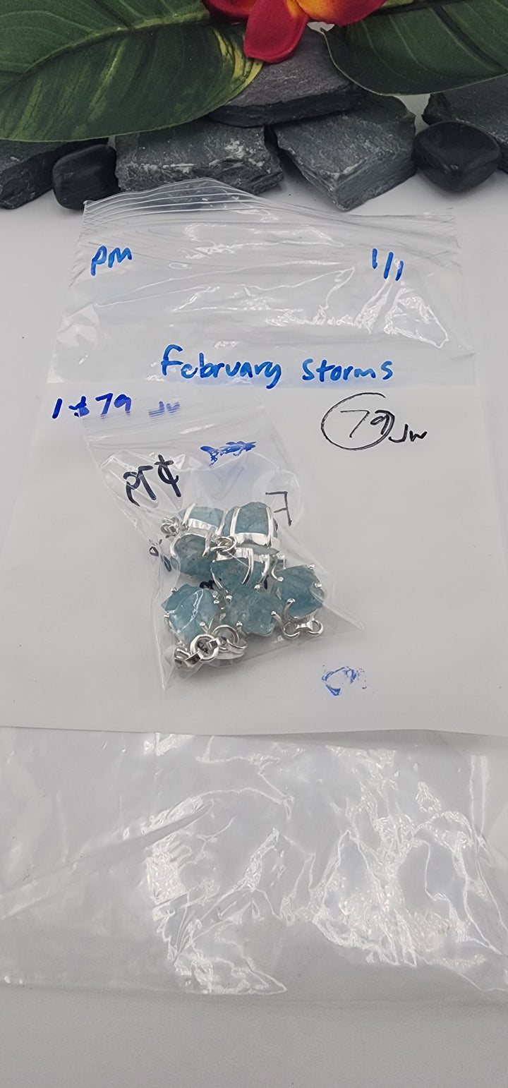 PM SHOW 48HR - RESERVED FOR: February Storms - 1/1/2026 tiktok Live Show - 1 Sterling Silver Items
