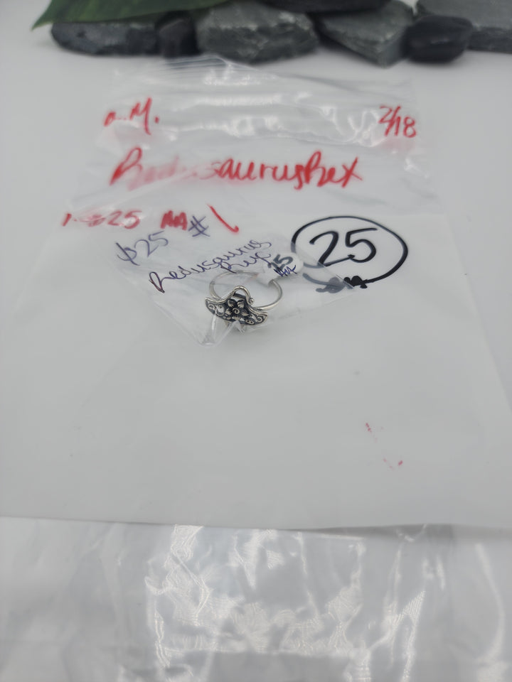 Redusaurus Rex - 2/18/26 - 1 925 Sterling Silver Items