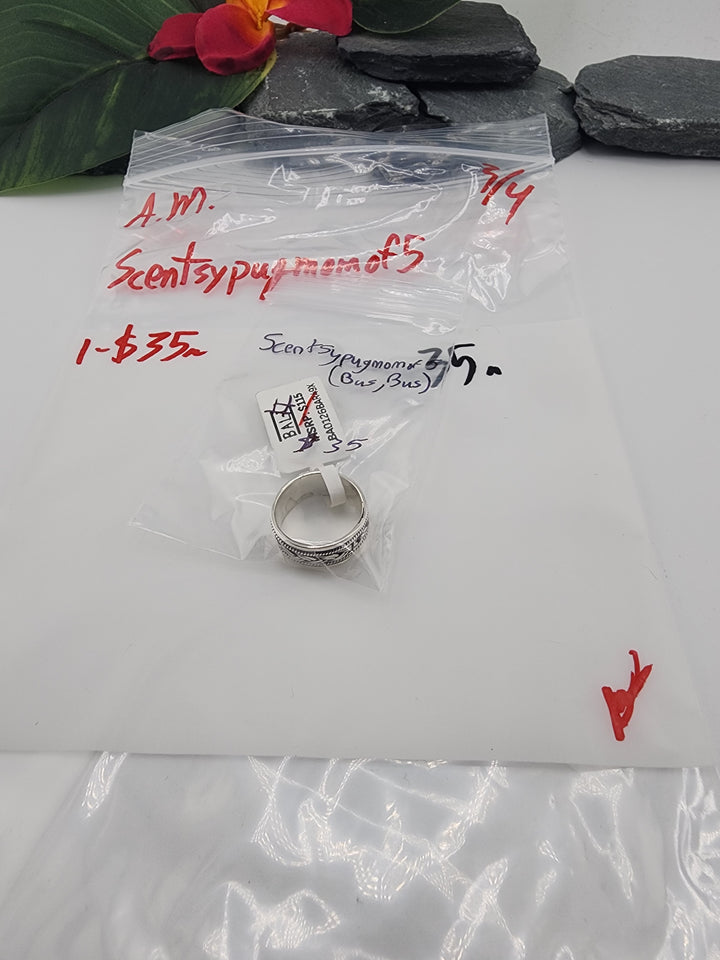 Scentsypugmomof5 - 3/4/26 - 1 925 Sterling Silver Items