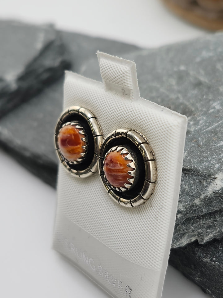 Spiny Oyster PostBack Earrings