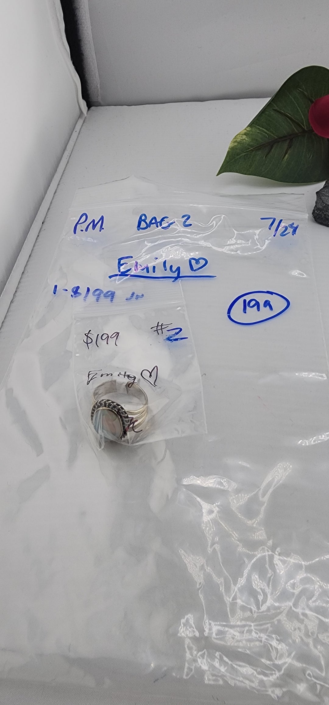 PM SHOW 48HR - RESERVED FOR: BAG 2 Emily❤️  - 7/24/2025 FL tiktok Live Show - 1 Sterling Silver Items
