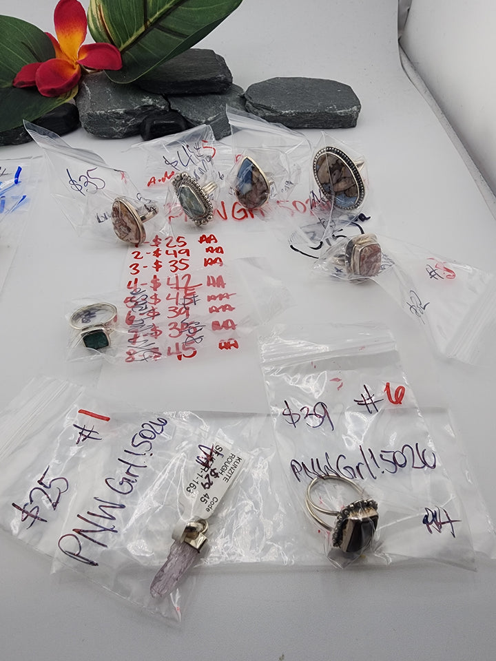 PNWGrl!5026 - 3.17.26 - 8 925 Sterling Silver Items