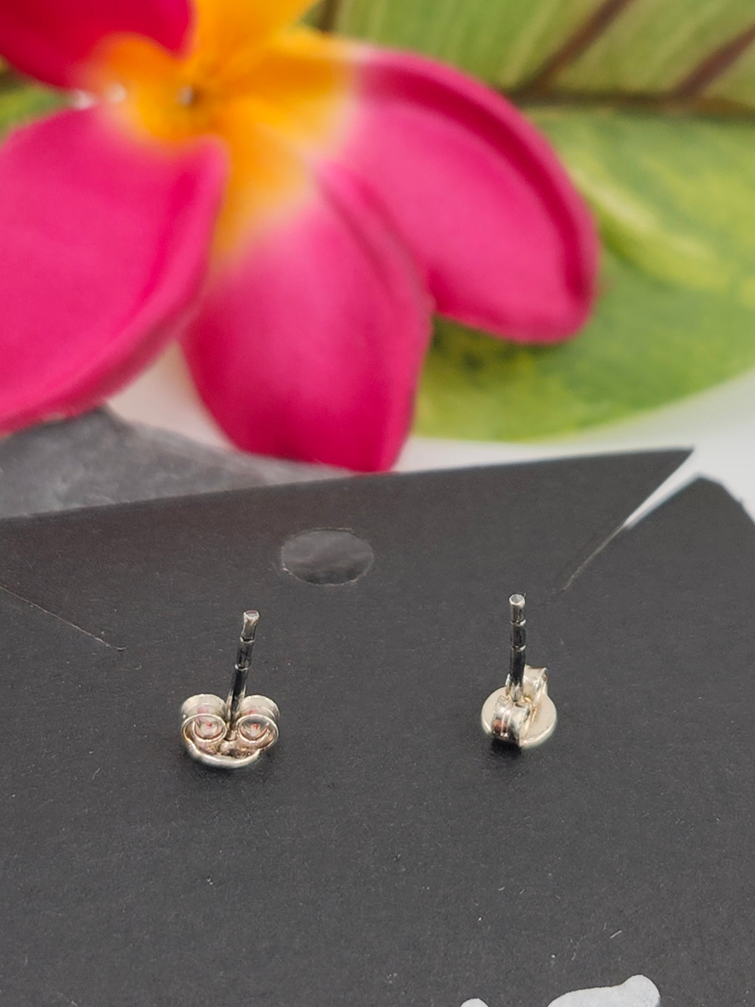 Queen Conch Sun Stud 925 Sterling Silver Earrings