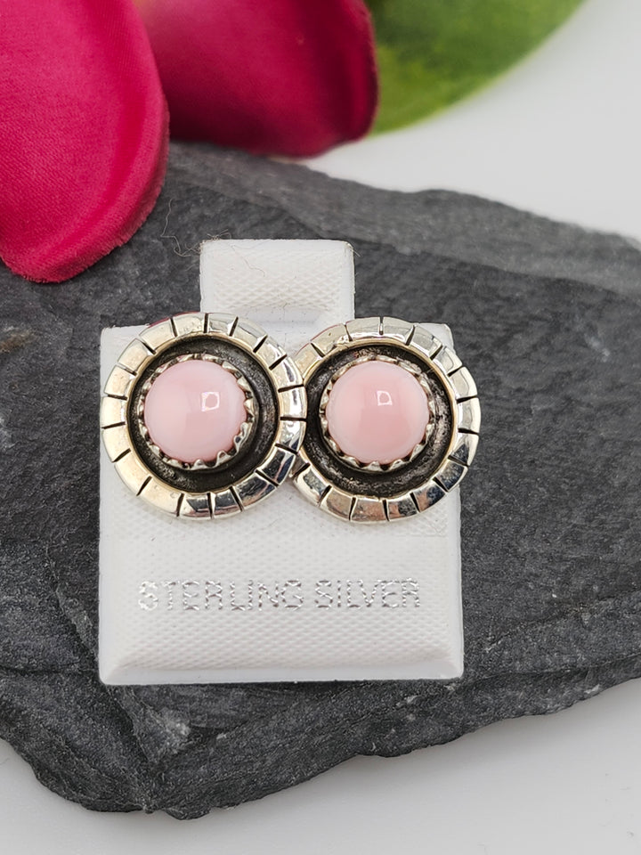 Queen Conch Stud 925 Sterling Silver Earrings