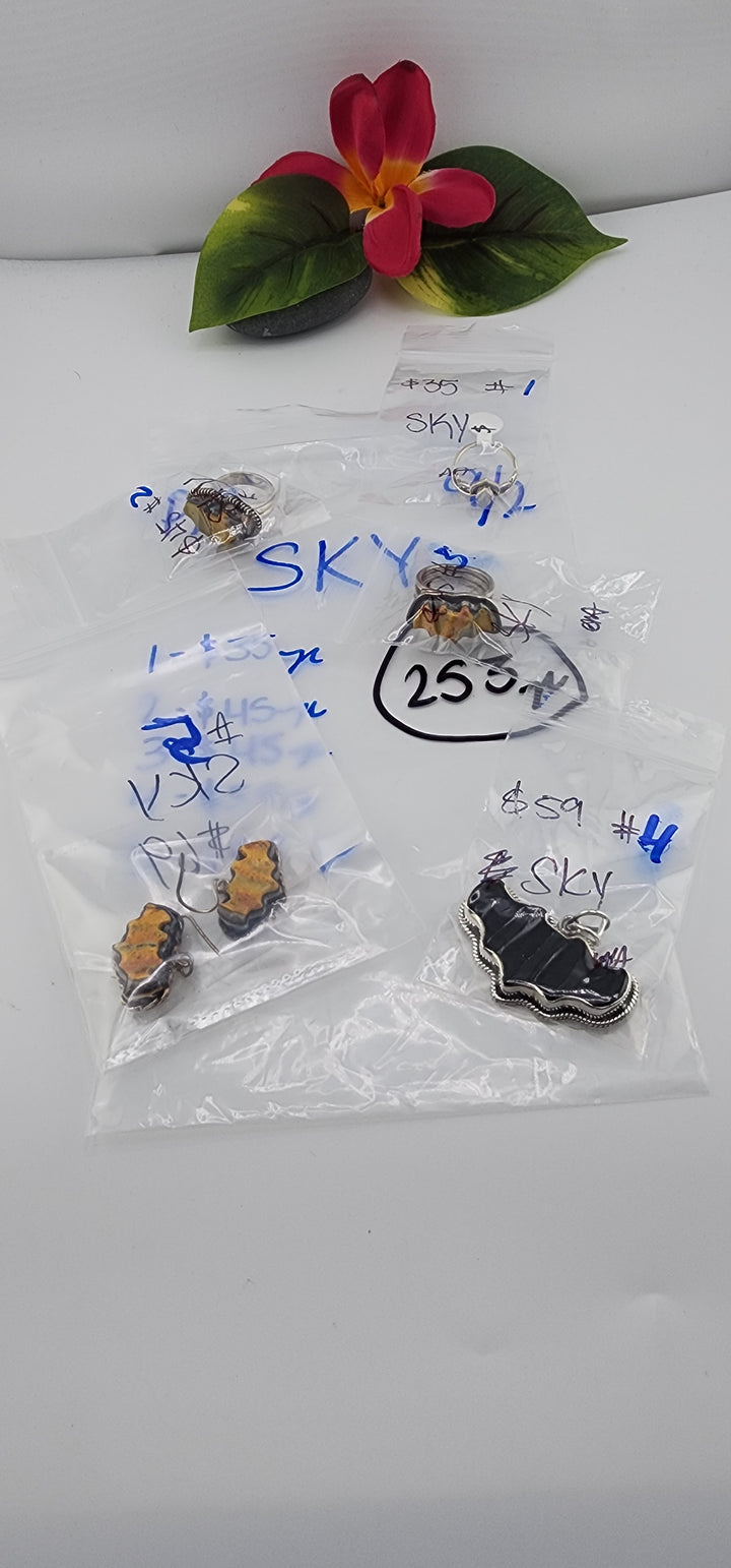 PM SHOW 48HR - RESERVED FOR: SKY - 9/02/2025 FL tiktok Live Show - 5 Sterling Silver Items