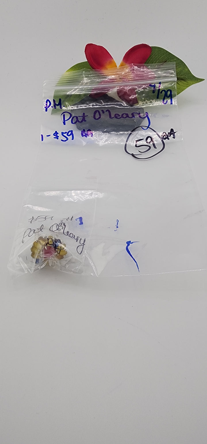 PM SHOW 48HR - RESERVED FOR: Pat O'leary - 7/29/2025 FL tiktok Live Show - 1 Sterling Silver Items