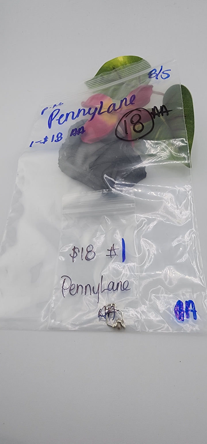 PM SHOW 48HR - RESERVED FOR: PennyLane - 8/5/2025 FL tiktok Live Show - 1 Sterling Silver Items