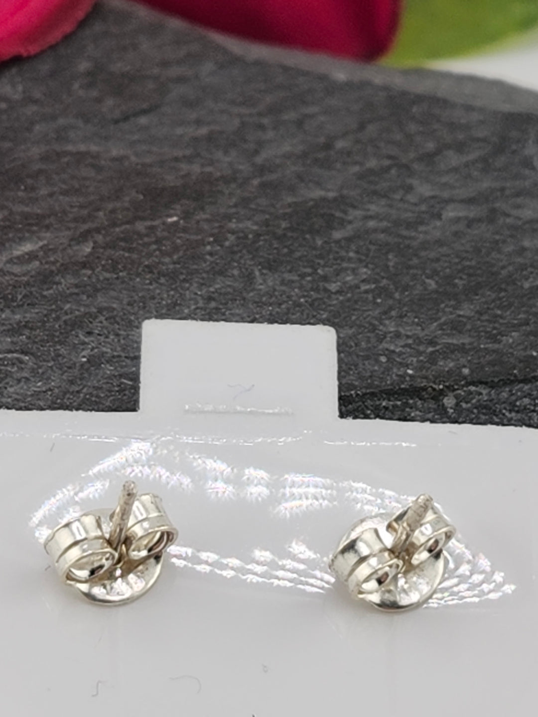 Queen Conch Stud 925 Sterling Silver Earrings