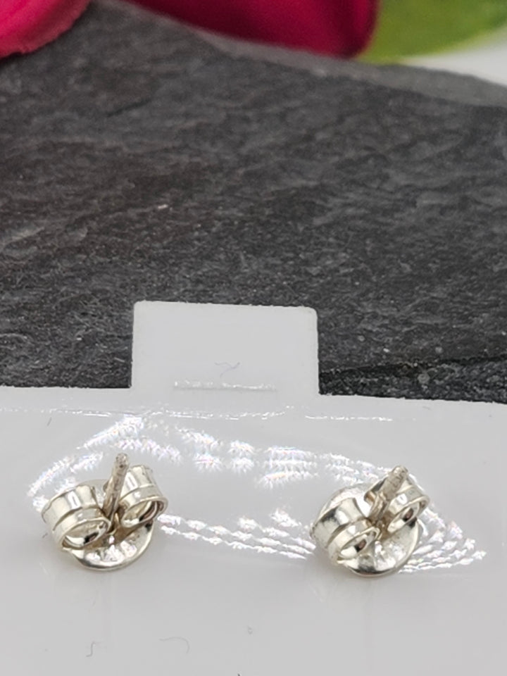 Queen Conch Stud 925 Sterling Silver Earrings