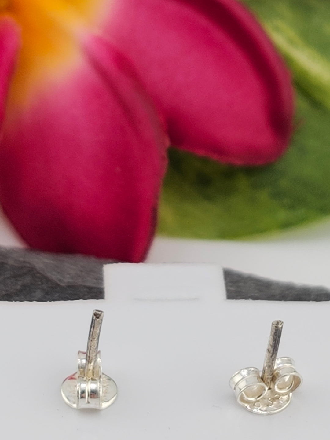 Queen Conch Stud 925 Sterling Silver Earrings