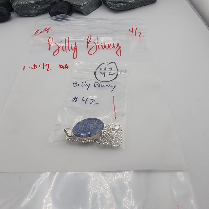 Billy Bluey- 4/2/26 -1 925 Sterling Silver Items