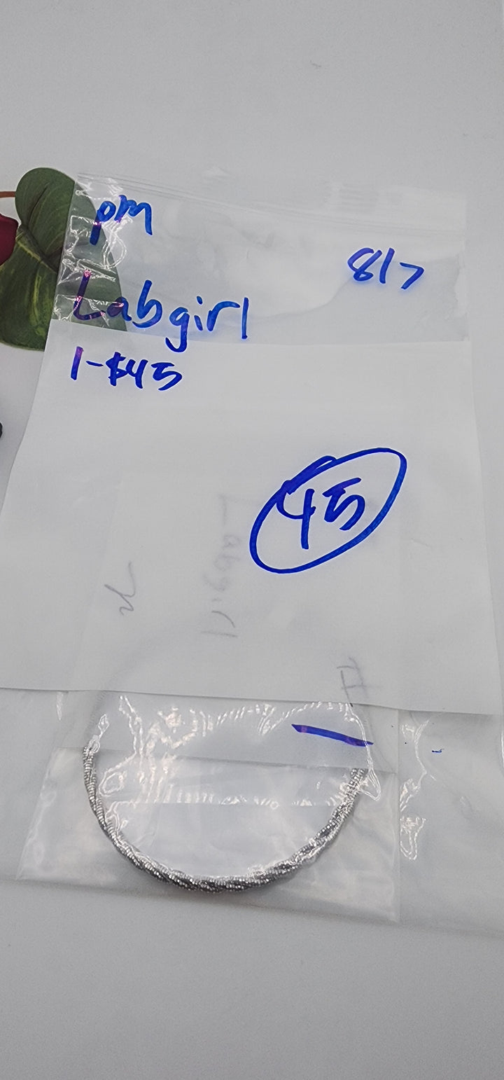 PM SHOW 48HR - RESERVED FOR: Labgirl  - 8/7/2025 FL tiktok Live Show - 1 Sterling Silver Items