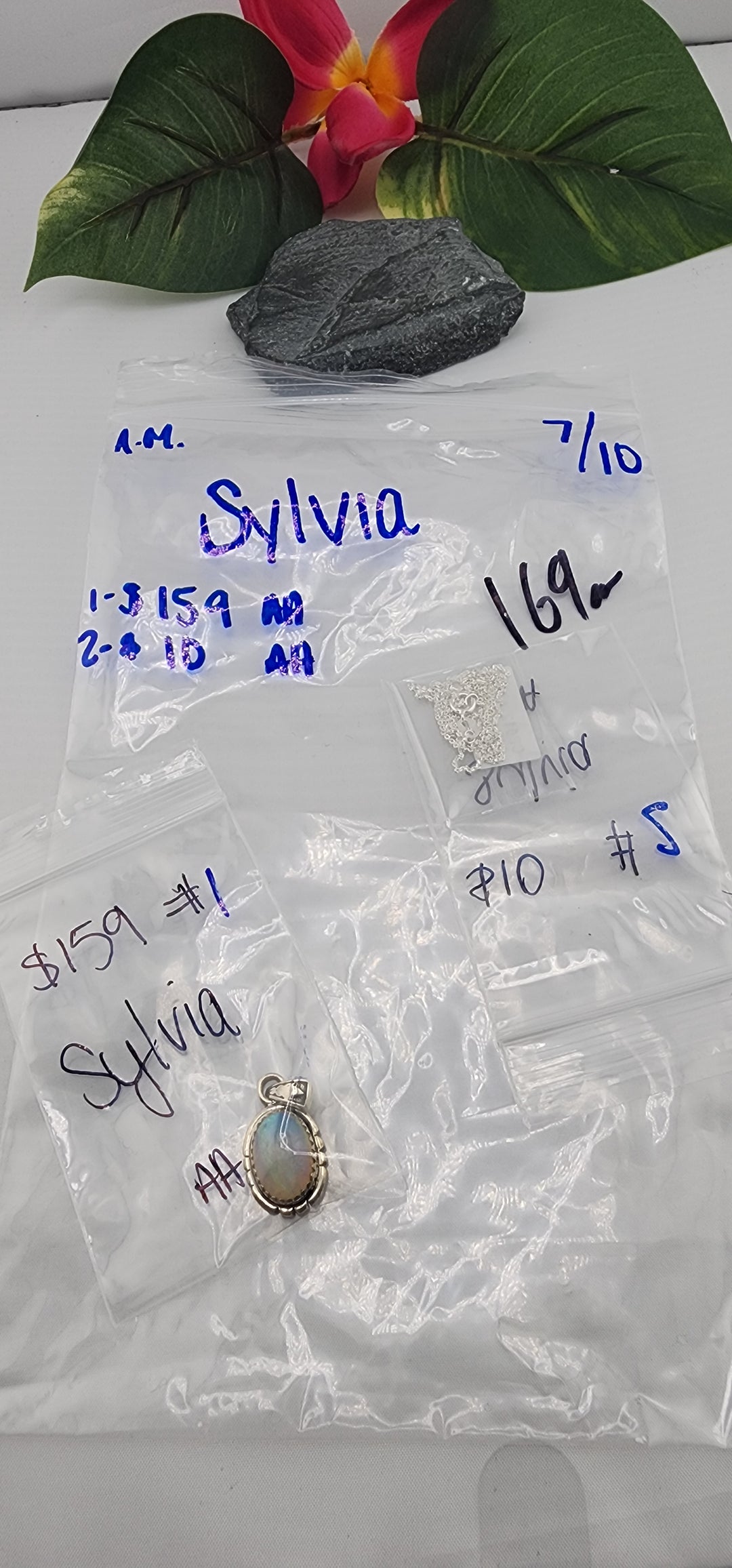 AM SHOW 48HR - RESERVED FOR: Sylvia  - 7/10/2025 FL tiktok Live Show - 2  Sterling Silver Items