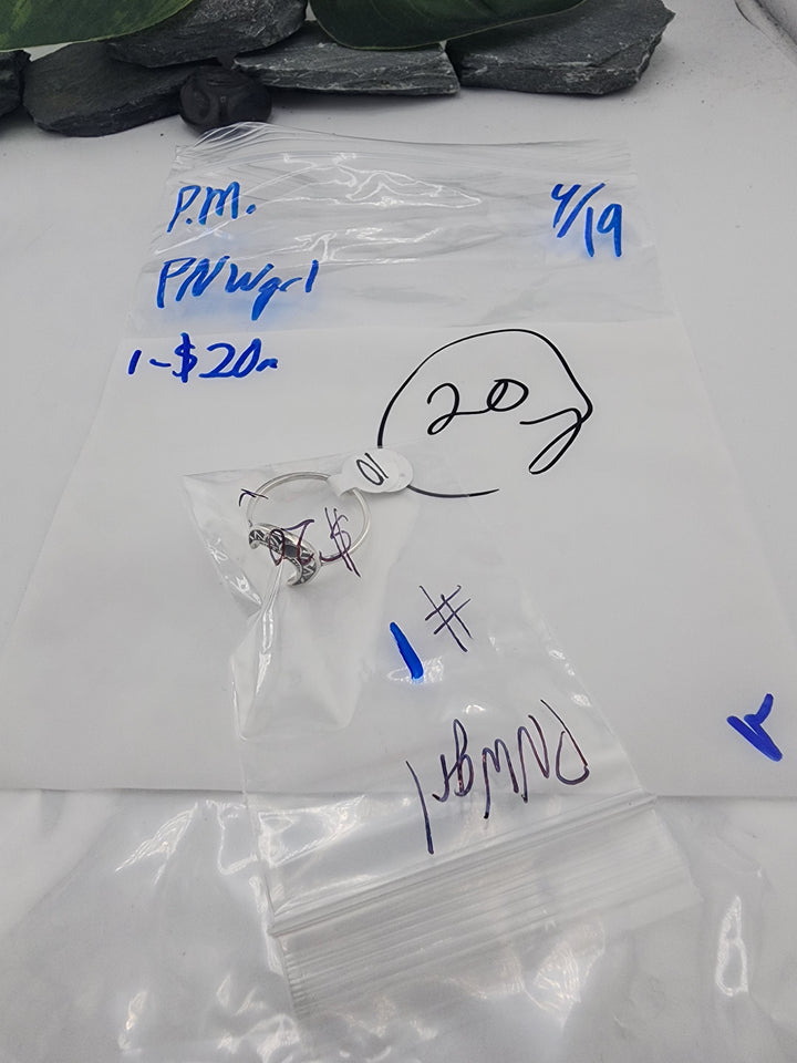 PNWgrl - 4/19/26 PM - 1 925 Sterling Silver Items