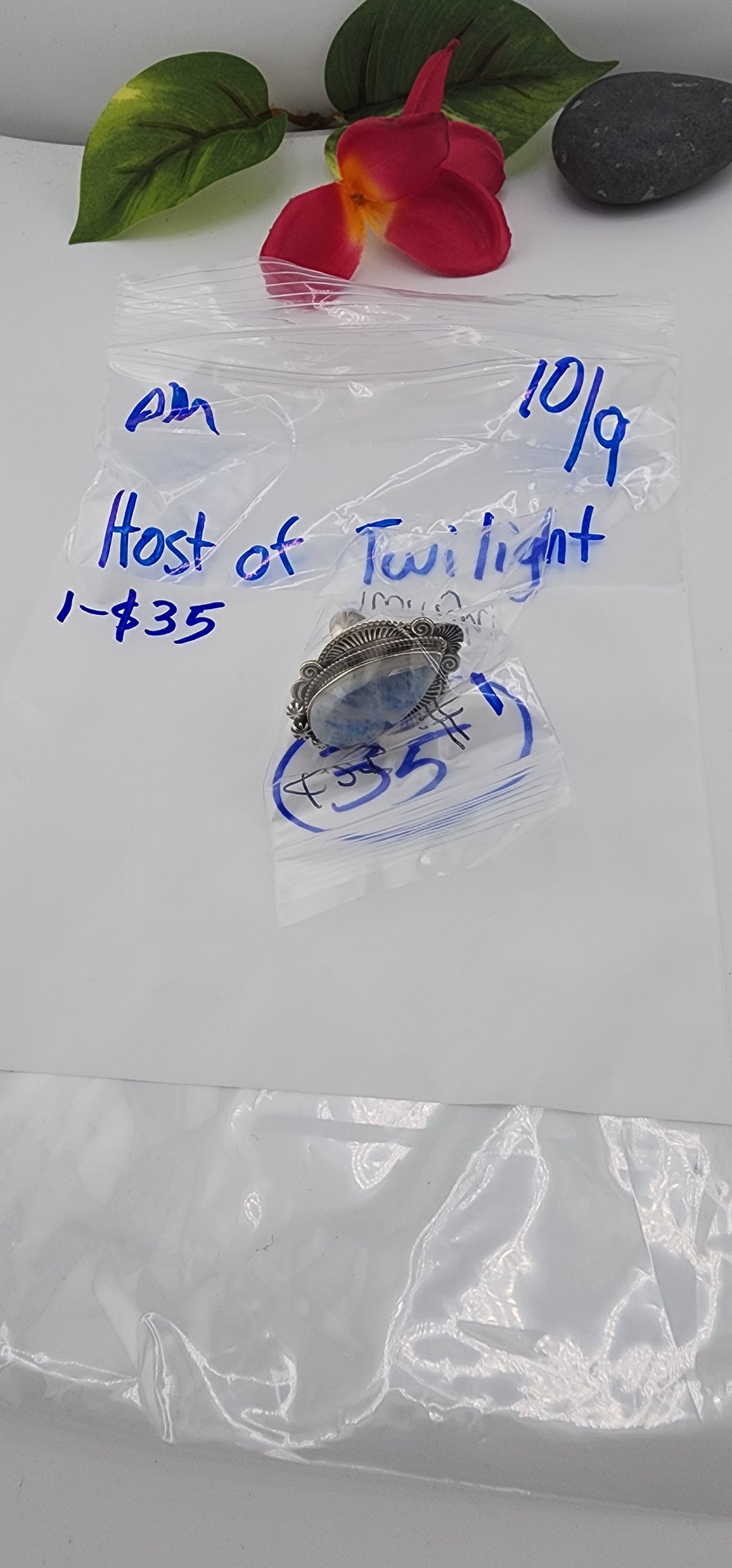 PM SHOW 48HR - RESERVED FOR: Host Of Twilight - 10/9/2025 FL tiktok Live Show - 1 Sterling Silver Items
