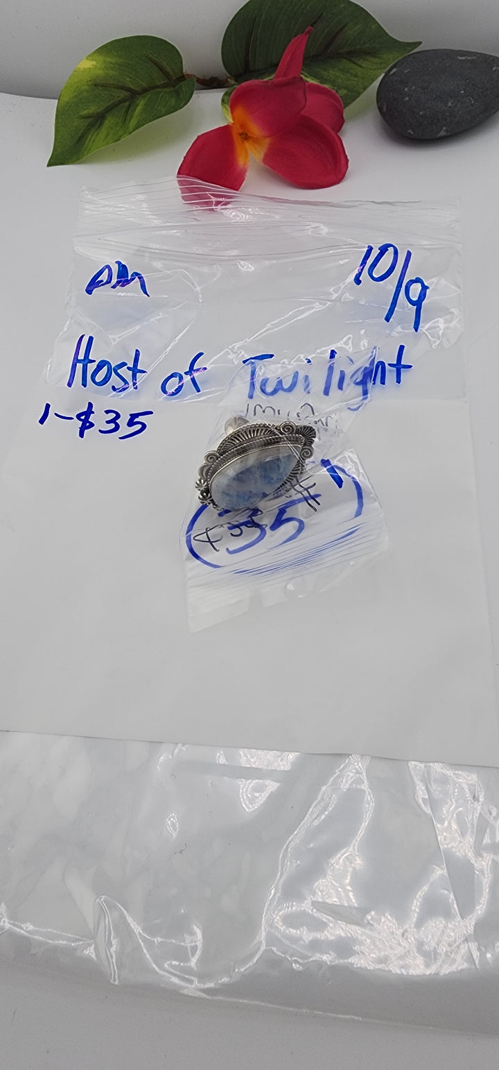 PM SHOW 48HR - RESERVED FOR: Host Of Twilight - 10/9/2025 FL tiktok Live Show - 1 Sterling Silver Items