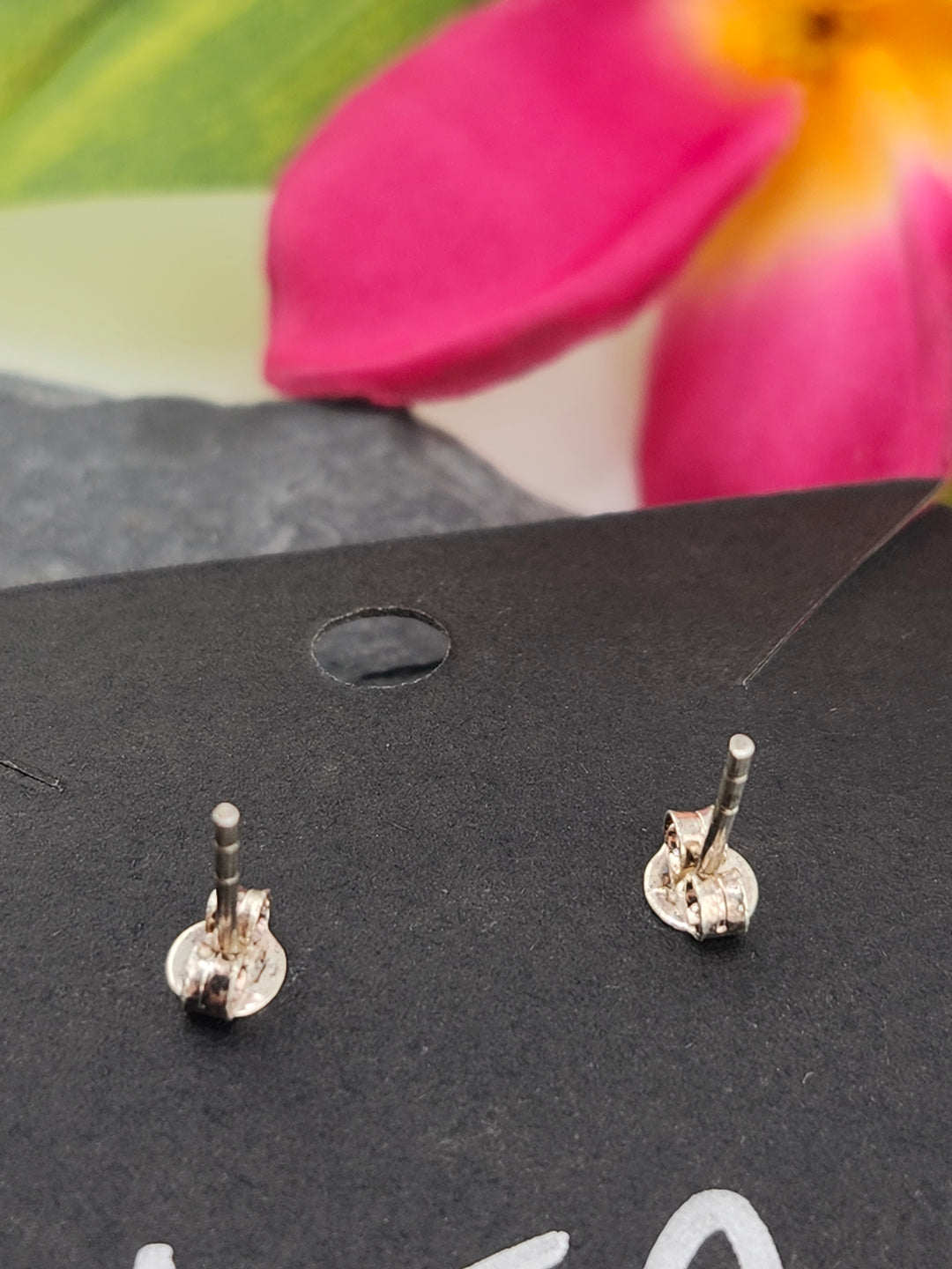 Queen Conch Stud 925 Sterling Silver Earrings