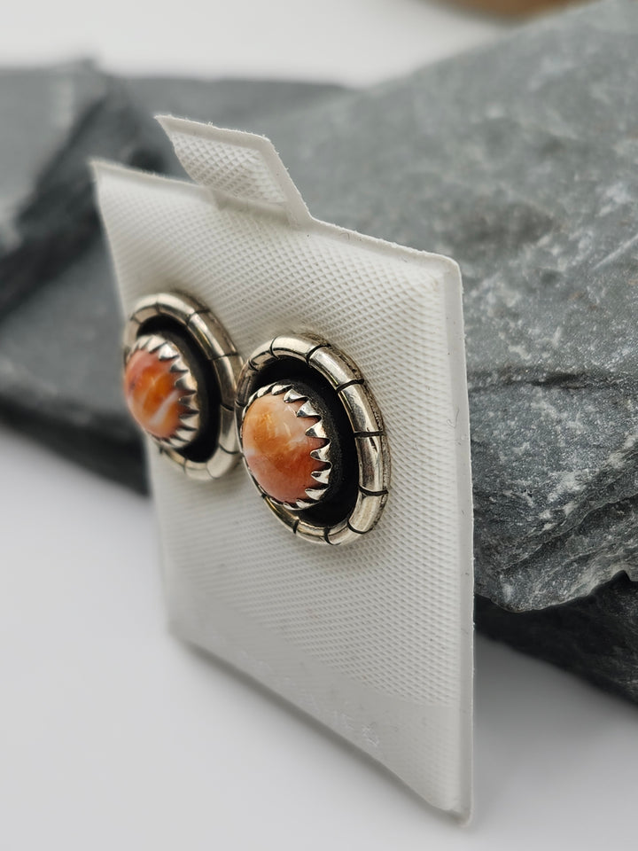 Spiny Oyster PostBack Earrings