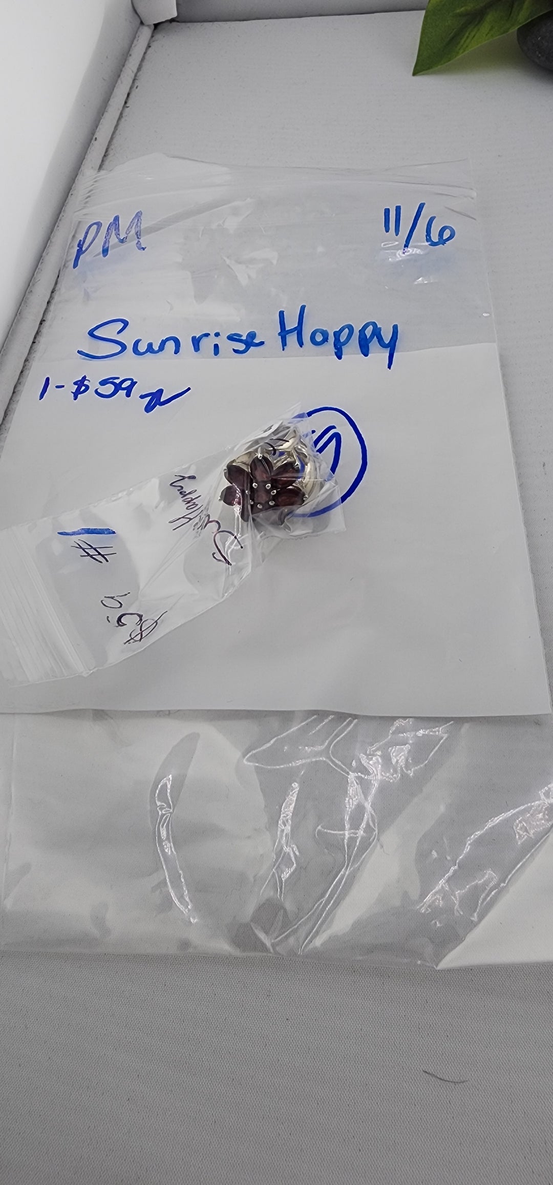 PM SHOW 48HR - RESERVED FOR: SunriseHappy - 11/6/2025 tiktok Live Show - 1 Sterling Silver Items