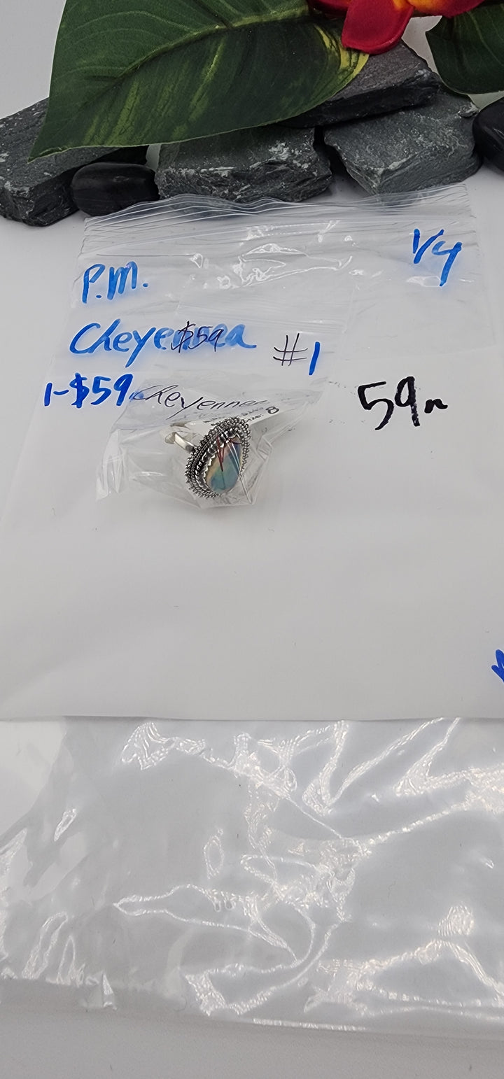 PM SHOW 48HR - RESERVED FOR: Cheyennea - 1/4/2026 tiktok Live Show - 1 Sterling Silver Items