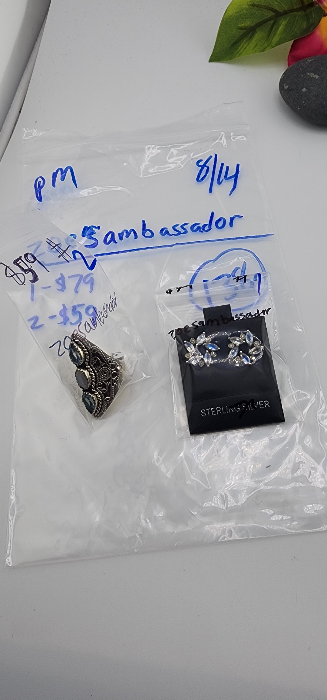 PM SHOW 48HR - RESERVED FOR: zoesambassador - 8/14/2025 FL tiktok Live Show - 2  Sterling Silver Items