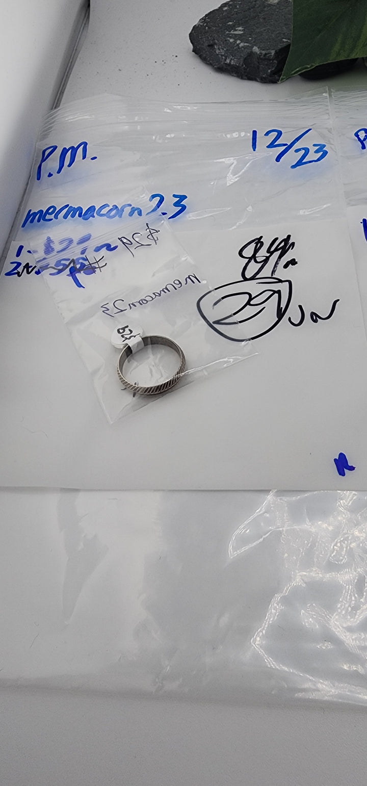 PM SHOW 48HR - RESERVED FOR: mermacorn23 - 12/23/2025 tiktok Live Show - 1 Sterling Silver Items