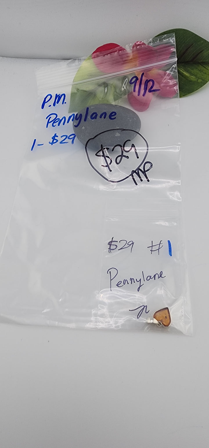PM SHOW 48HR - RESERVED FOR: Pennylane  - 9/12/2025 FL tiktok Live Show - 1 Sterling Silver Items