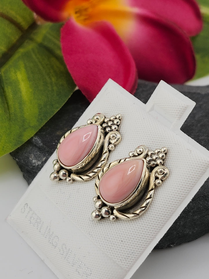 Queen Conch Stud 925 Sterling Silver Earrings