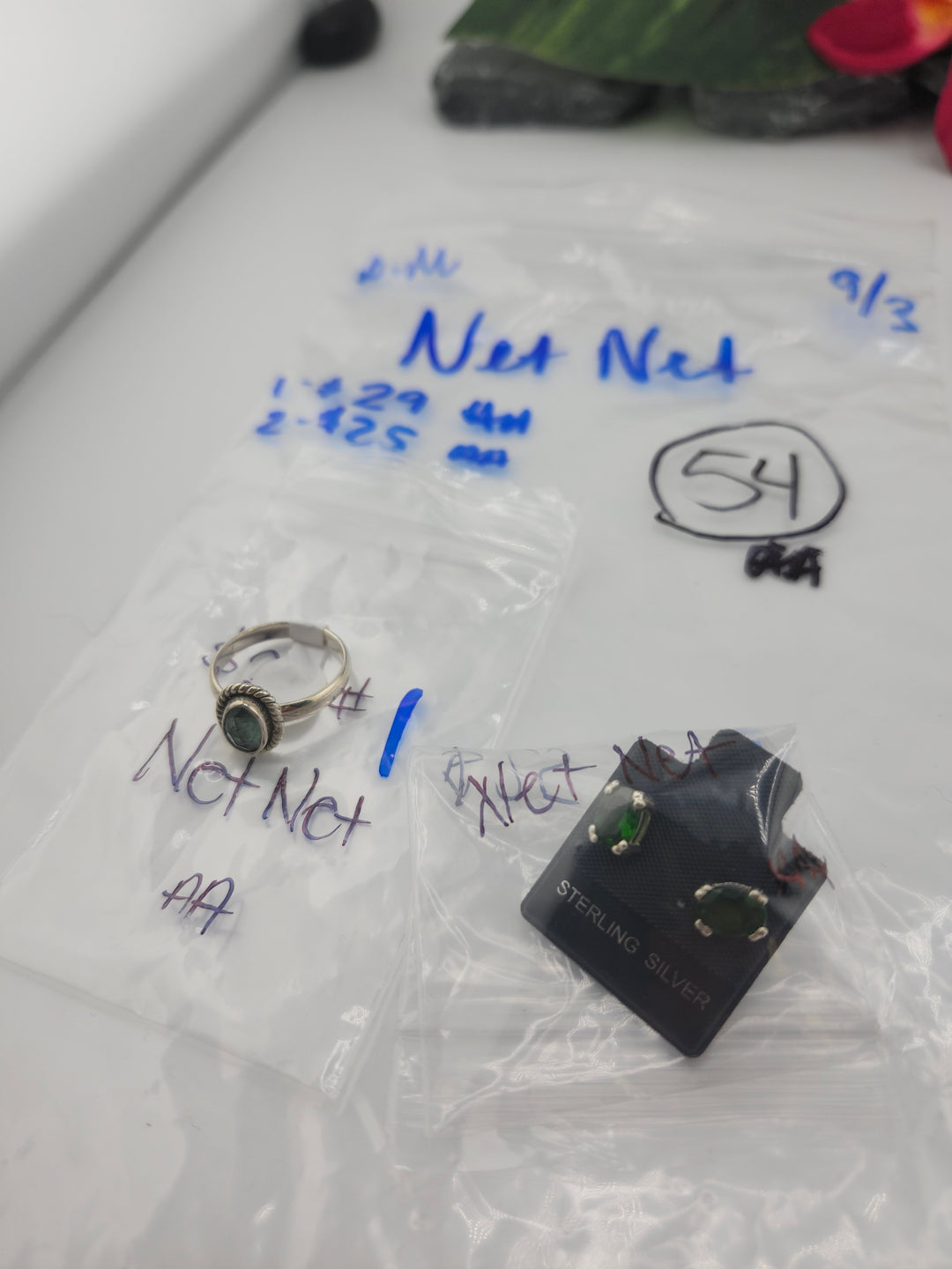 PM SHOW 48HR - RESERVED FOR: Net Net - 9/03/2025 FL tiktok Live Show - 2 Sterling Silver Items