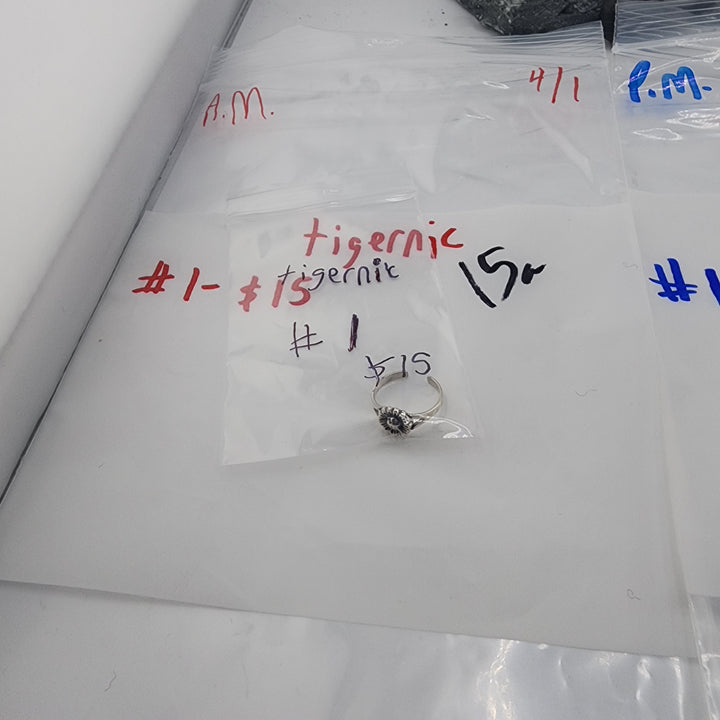 Tigernic - 4/1/26 - 1 925 Sterling Silver Items