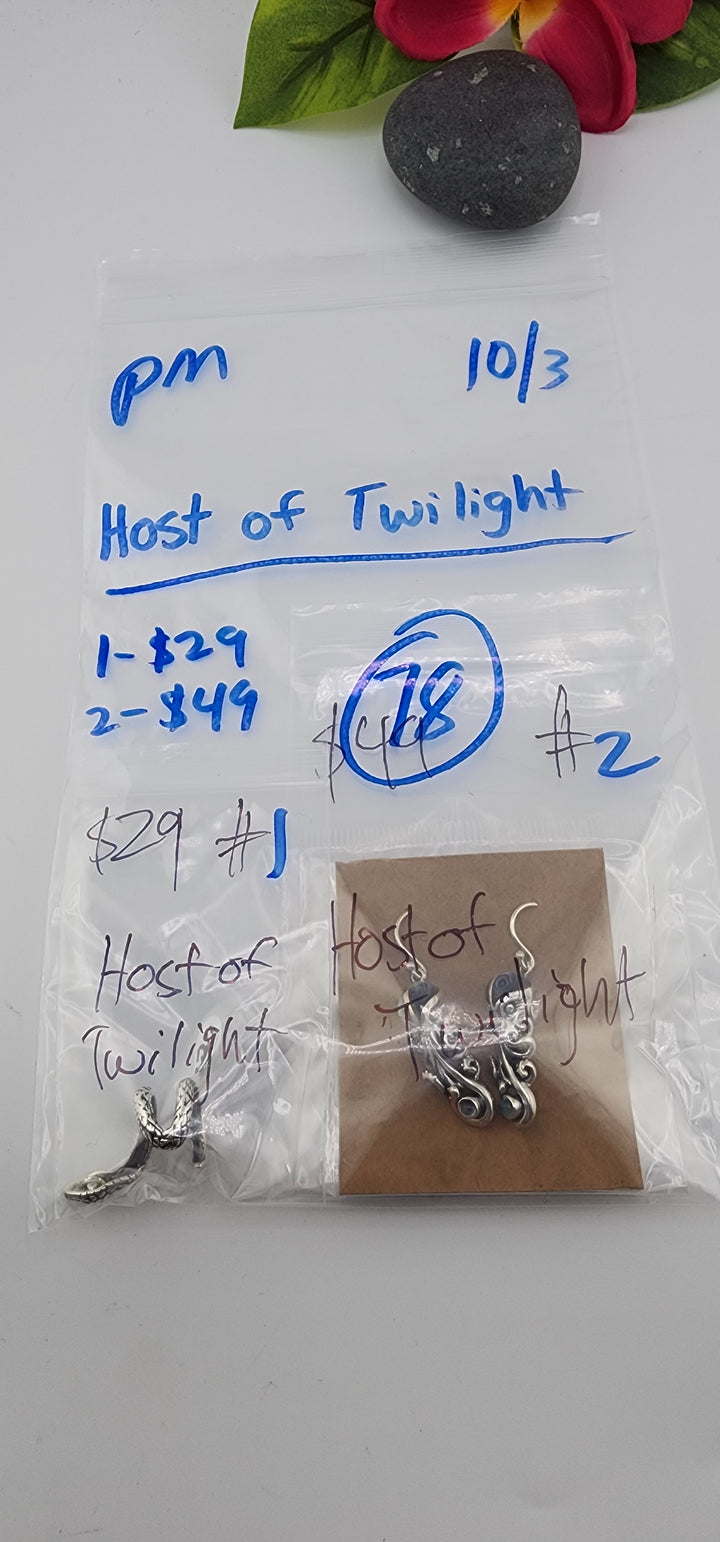 PM SHOW 48HR - RESERVED FOR: Host of Twilight - 10/3/2025 FL tiktok Live Show - 2 Sterling Silver Items