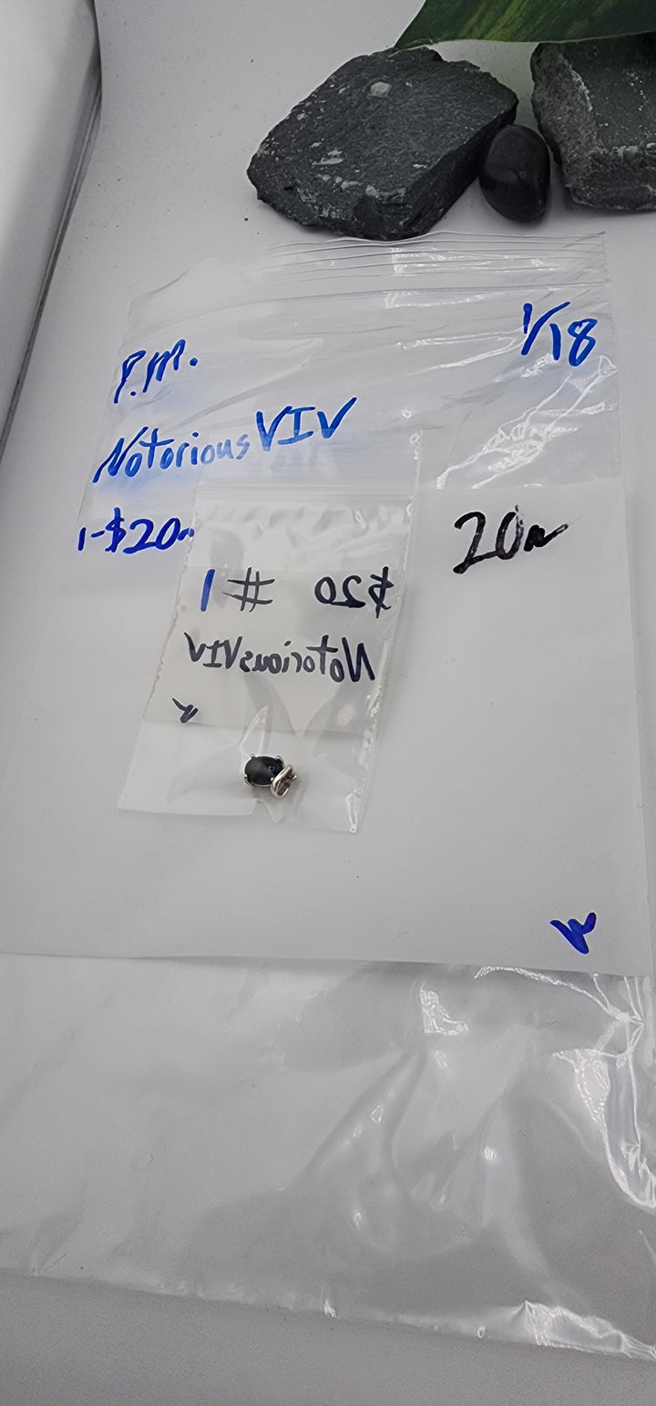 NotoriousVIV - 1 925 Sterling Silver Items